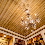 Snake Skin Ceiling Interior Design